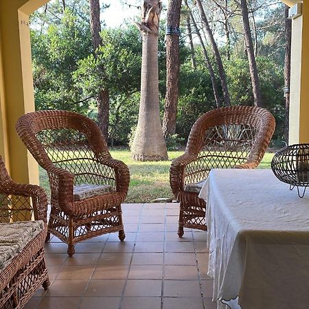 Apartamento Green Golf Islantilla Bagian luar foto